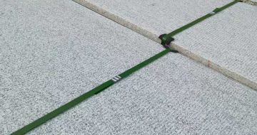 江苏 芝麻白斧剁面