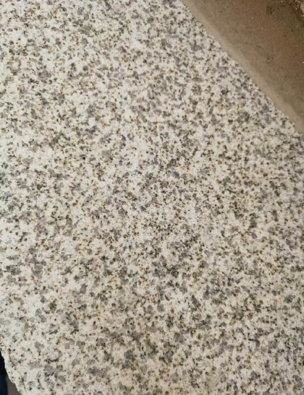 江苏 黄金麻中黄光面