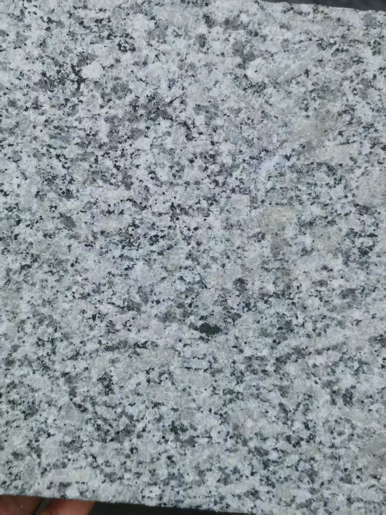 江苏 芙蓉白火烧面